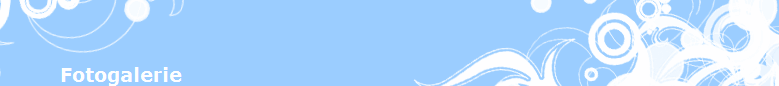 Fotogalerie