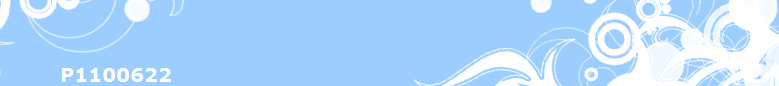P1100622